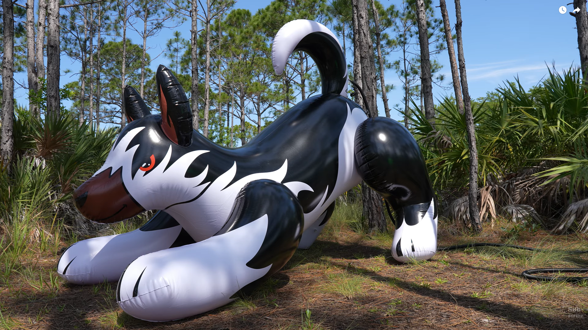 Translation missing: en.sections.video.load_video