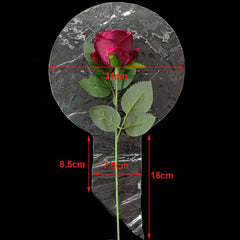 Weithalsblase (20")